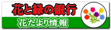 �ԂƗ΂̋�s